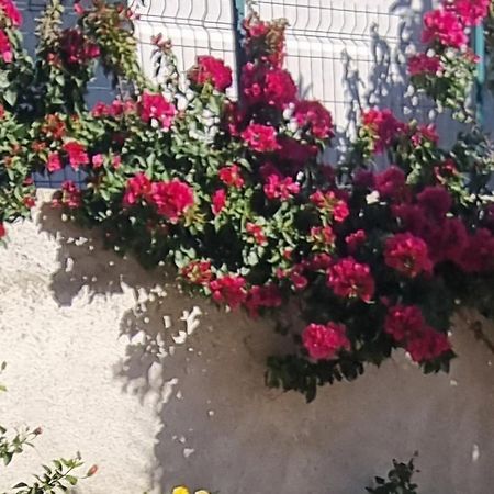 Vila Megi-Rent Room Vlorë Exteriör bild