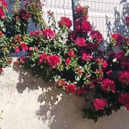 Vila Megi-Rent Room Vlorë Exteriör bild