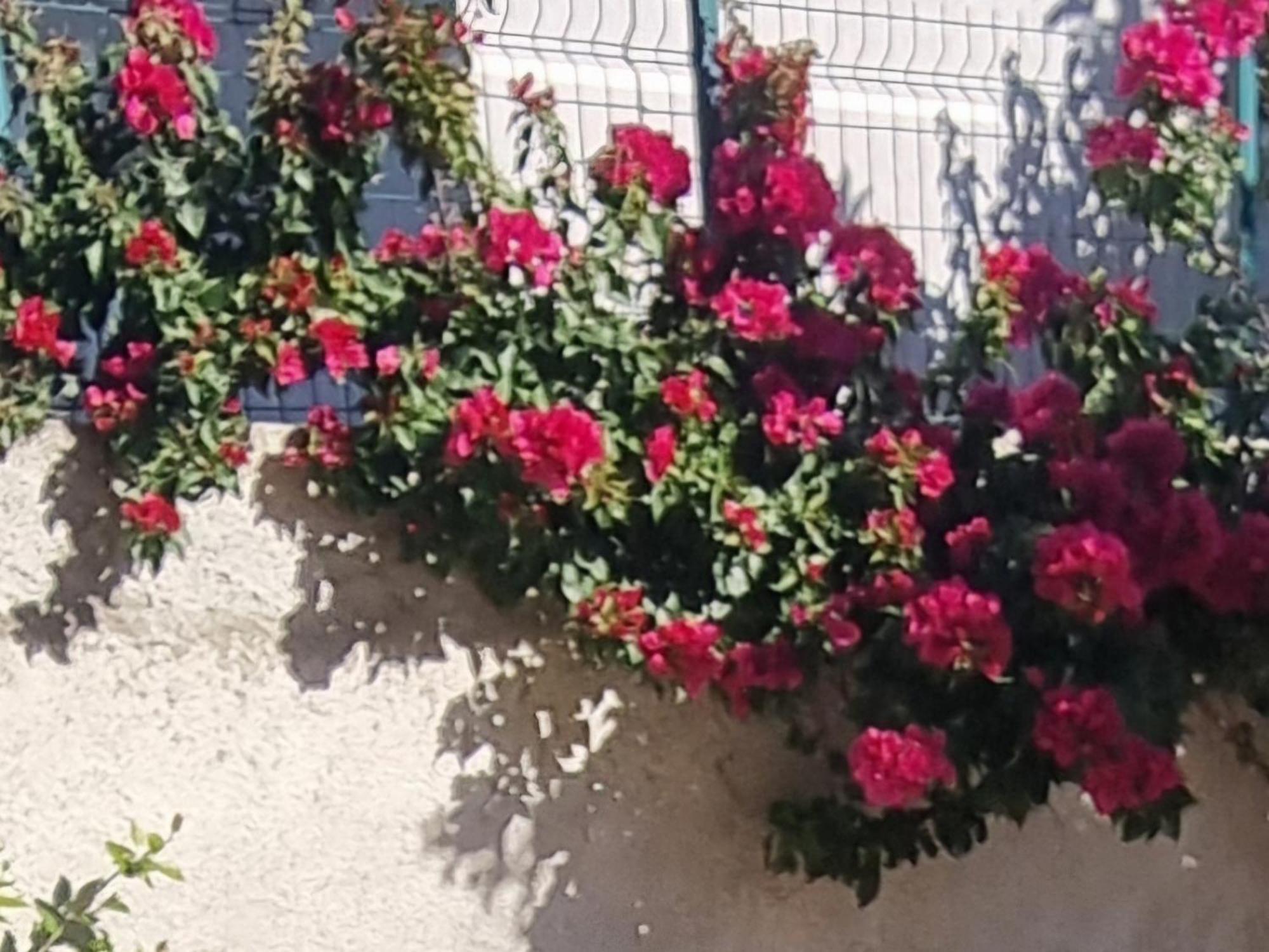 Vila Megi-Rent Room Vlorë Exteriör bild